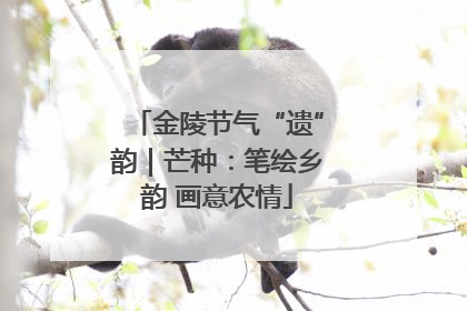 金陵节气“遗”韵｜芒种：笔绘乡韵 画意农情