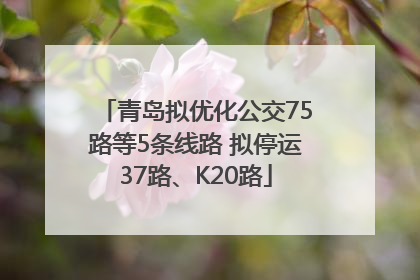 青岛拟优化公交75路等5条线路 拟停运37路、K20路