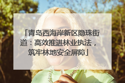 青岛西海岸新区隐珠街道：高效推进林业执法，筑牢林地安全屏障