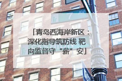 青岛西海岸新区：深化指导筑防线 靶向监督守“薪”安