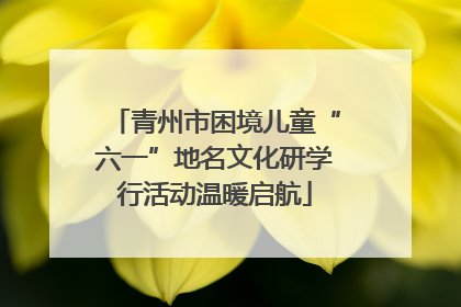 青州市困境儿童“六一”地名文化研学行活动温暖启航