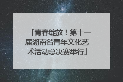 青春绽放！第十一届湖南省青年文化艺术活动总决赛举行