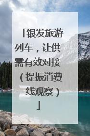 银发旅游列车，让供需有效对接（提振消费一线观察）