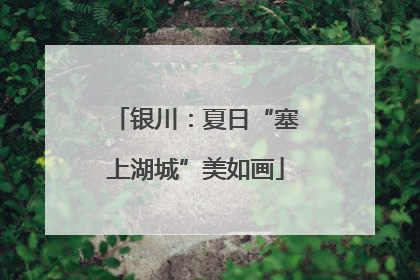 银川：夏日“塞上湖城”美如画