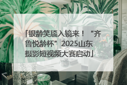 银龄笑靥入镜来！“齐鲁悦龄杯”2025山东摄影短视频大赛启动