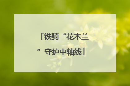 铁骑“花木兰”守护中轴线