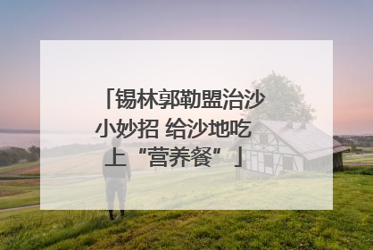 锡林郭勒盟治沙小妙招 给沙地吃上“营养餐”