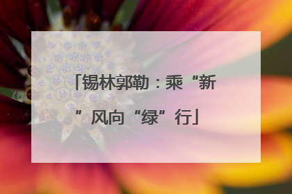 锡林郭勒：乘“新”风向“绿”行