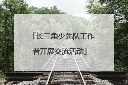 长三角少先队工作者开展交流活动