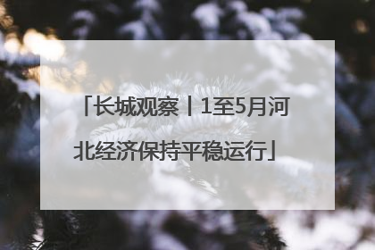 长城观察丨1至5月河北经济保持平稳运行