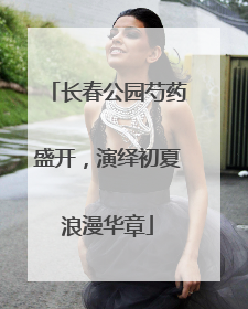 长春公园芍药盛开，演绎初夏浪漫华章