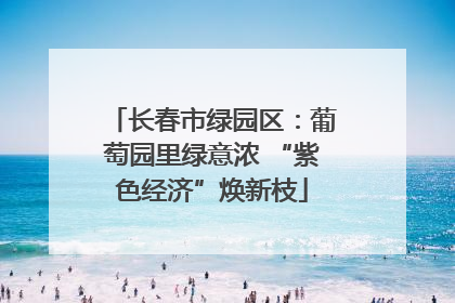 长春市绿园区：葡萄园里绿意浓 “紫色经济”焕新枝