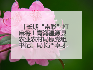 长期“带彩”打麻将！青海湟源县农业农村局原党组书记、局长严卓才被“双开”