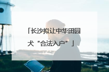 长沙拟让中华田园犬“合法入户”