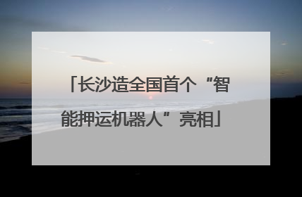 长沙造全国首个“智能押运机器人”亮相