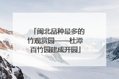 闽北品种最多的竹观赏园——杜潭百竹园建成开园