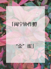 闽宁协作孵“金”蛋