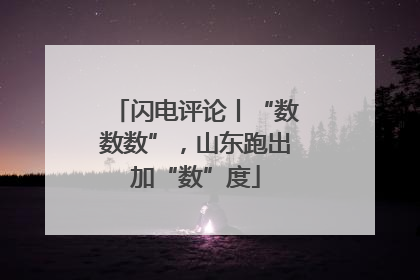 闪电评论丨“数数数”，山东跑出加“数”度