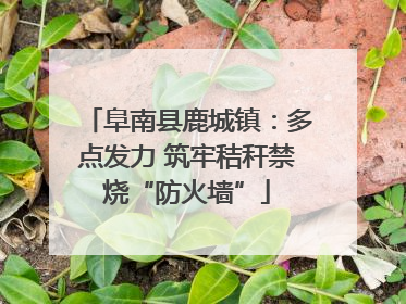 阜南县鹿城镇：多点发力 筑牢秸秆禁烧“防火墙”