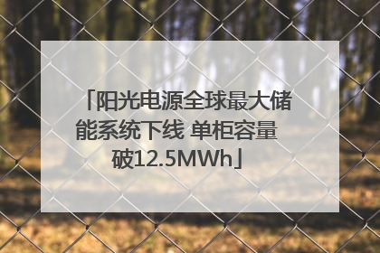 阳光电源全球最大储能系统下线 单柜容量破12.5MWh