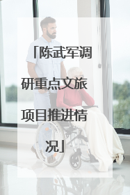 陈武军调研重点文旅项目推进情况