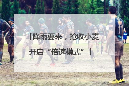 降雨要来，抢收小麦开启“倍速模式”