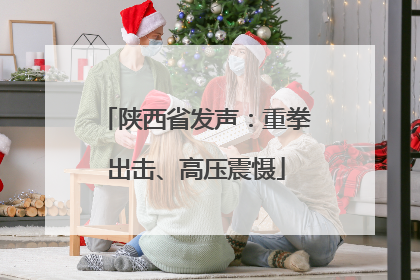陕西省发声：重拳出击、高压震慑