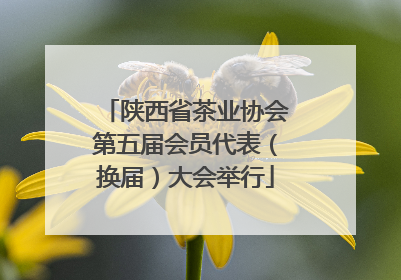 陕西省茶业协会第五届会员代表（换届）大会举行