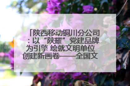 陕西移动铜川分公司：以“陕耀”党建品牌为引擎 绘就文明单位创建新画卷——全国文明单位创建纪实