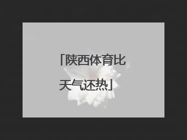 陕西体育比天气还热