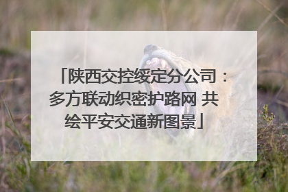 陕西交控绥定分公司：多方联动织密护路网 共绘平安交通新图景