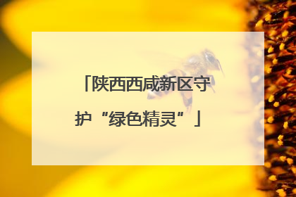 陕西西咸新区守护“绿色精灵”