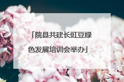 院县共建长豇豆绿色发展培训会举办