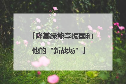隆基绿能李振国和他的“新战场”