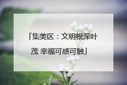 集美区：文明根深叶茂 幸福可感可触