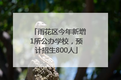 雨花区今年新增1所公办学校，预计招生800人