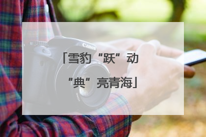 雪豹“跃”动 “典”亮青海