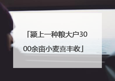 颍上一种粮大户3000余亩小麦喜丰收