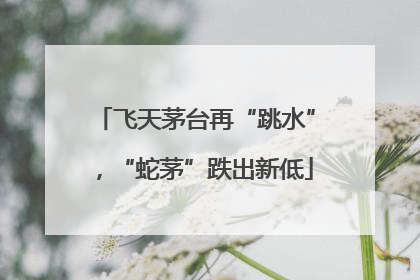 飞天茅台再“跳水”，“蛇茅”跌出新低