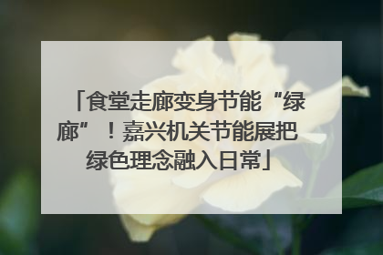 食堂走廊变身节能“绿廊”！嘉兴机关节能展把绿色理念融入日常