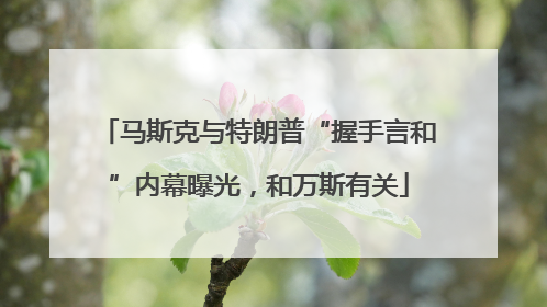马斯克与特朗普“握手言和”内幕曝光，和万斯有关