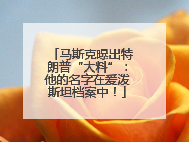 马斯克曝出特朗普“大料”：他的名字在爱泼斯坦档案中！
