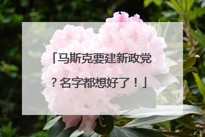 马斯克要建新政党？名字都想好了！