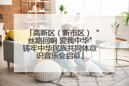高新区（新市区）“丝路回响 爱我中华”铸牢中华民族共同体意识音乐会启幕