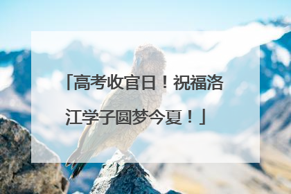 高考收官日！祝福洛江学子圆梦今夏！