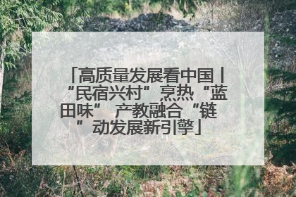 高质量发展看中国丨“民宿兴村”烹热“蓝田味” 产教融合“链”动发展新引擎