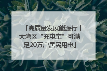 高质量发展能源行丨大湾区“充电宝”可满足20万户居民用电