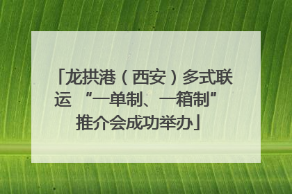 龙拱港（西安）多式联运 “一单制、一箱制” 推介会成功举办