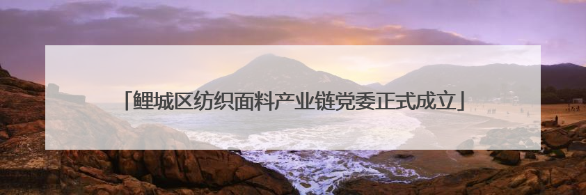 鲤城区纺织面料产业链党委正式成立