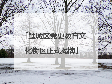 鲤城区党史教育文化街区正式揭牌